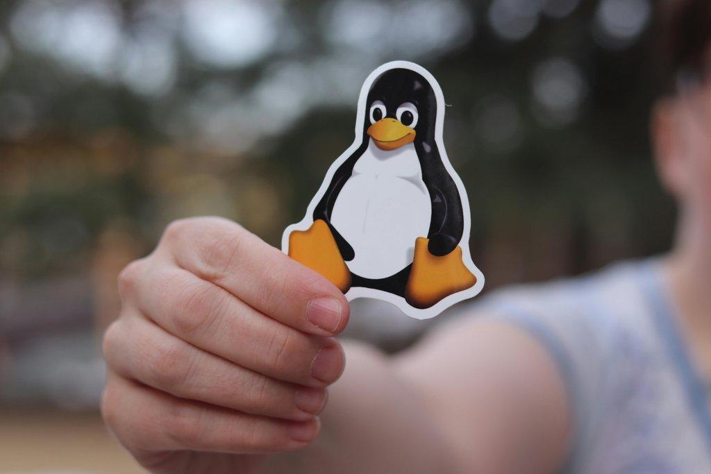 Linux OS